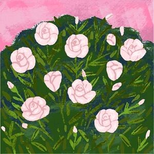 Meet your Posher, Zehra